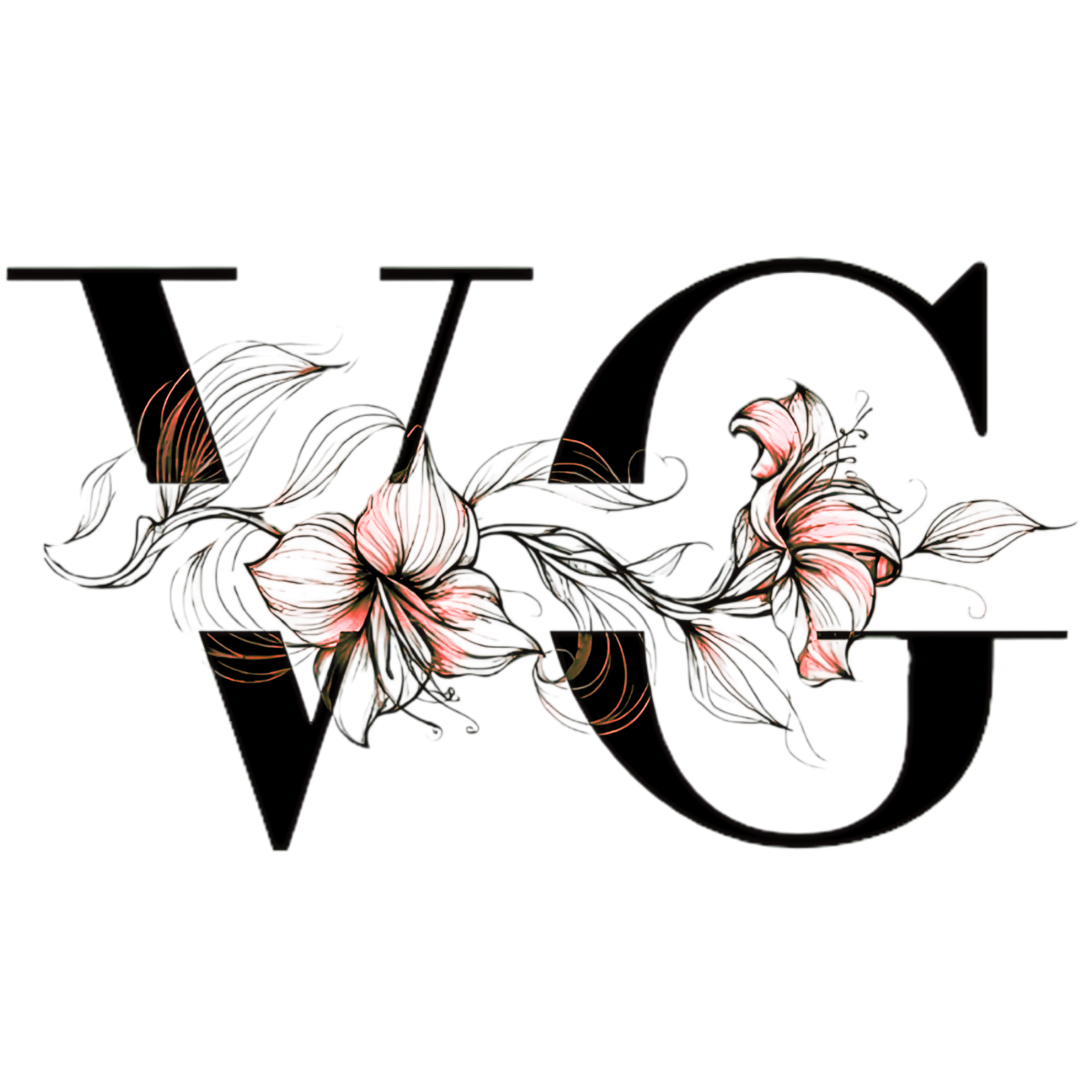VG Logo